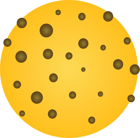 Cookie.png