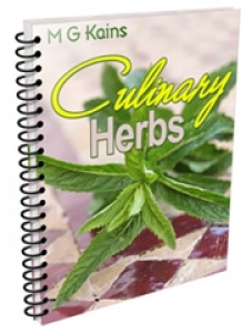 Culinary Herbs.jpg