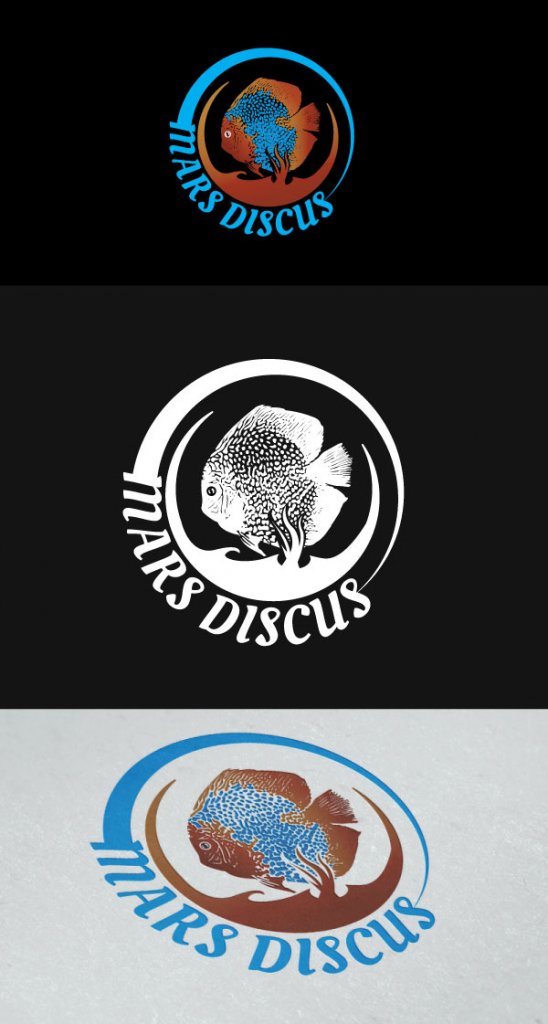 discus2.jpg