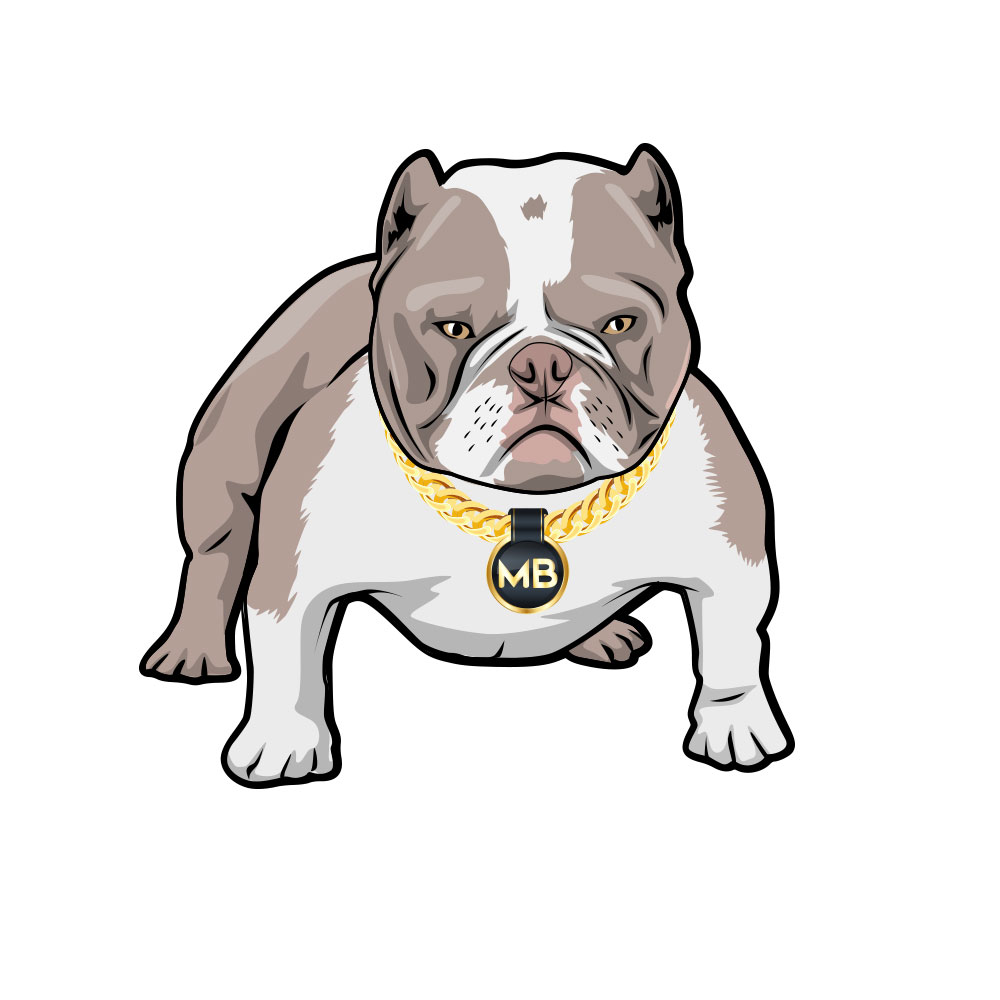 dog.jpg