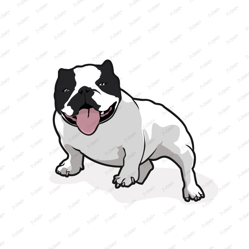 dog2.jpg