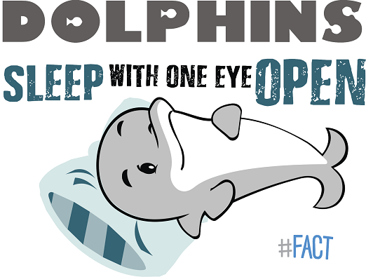 Dolphin1.png