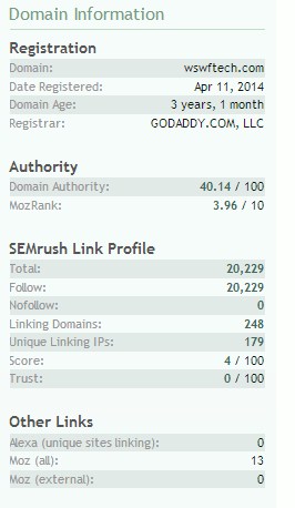 domaininformation.jpg