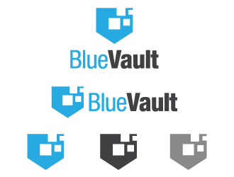 dpbluevault.jpg