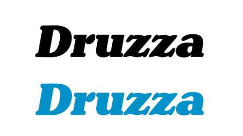 druzza_italic copy.jpg