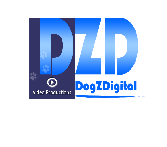 DZD33.png