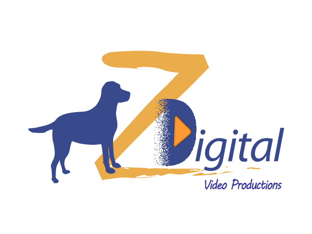 DZDIGITAL.png