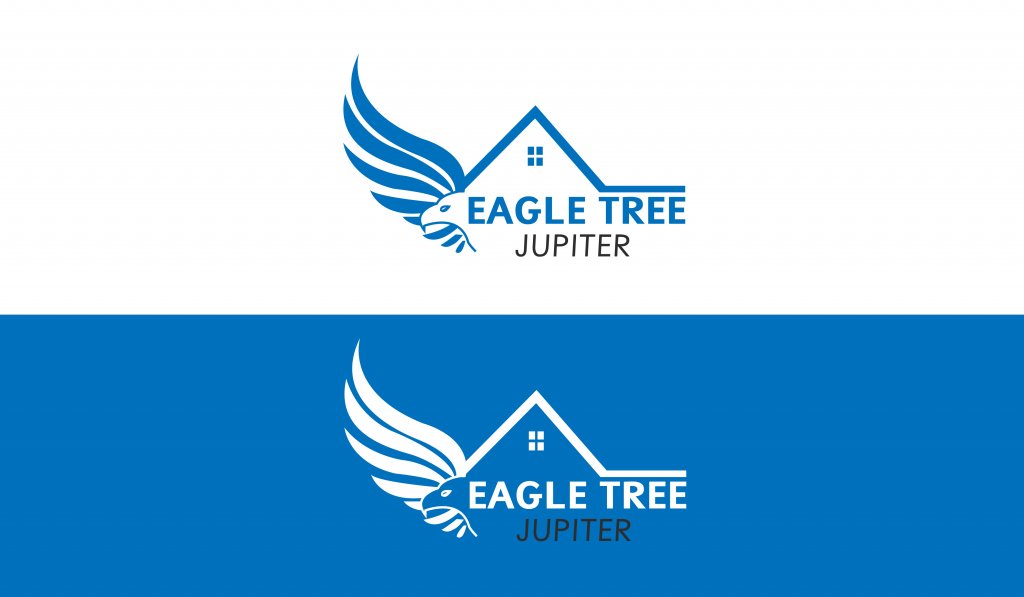 eagle tree-01-01.jpg