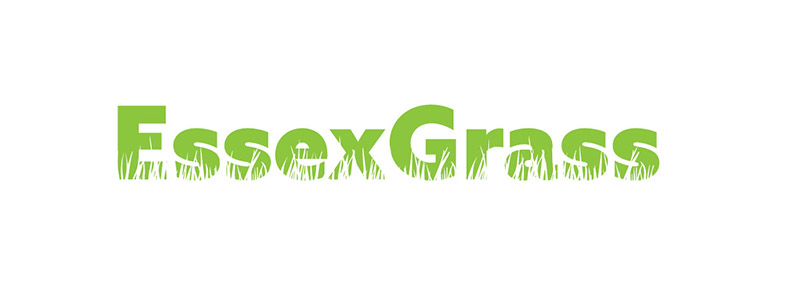 essexgrass-01.jpg