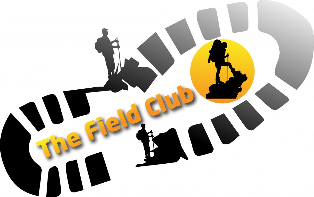 feild 2.jpg