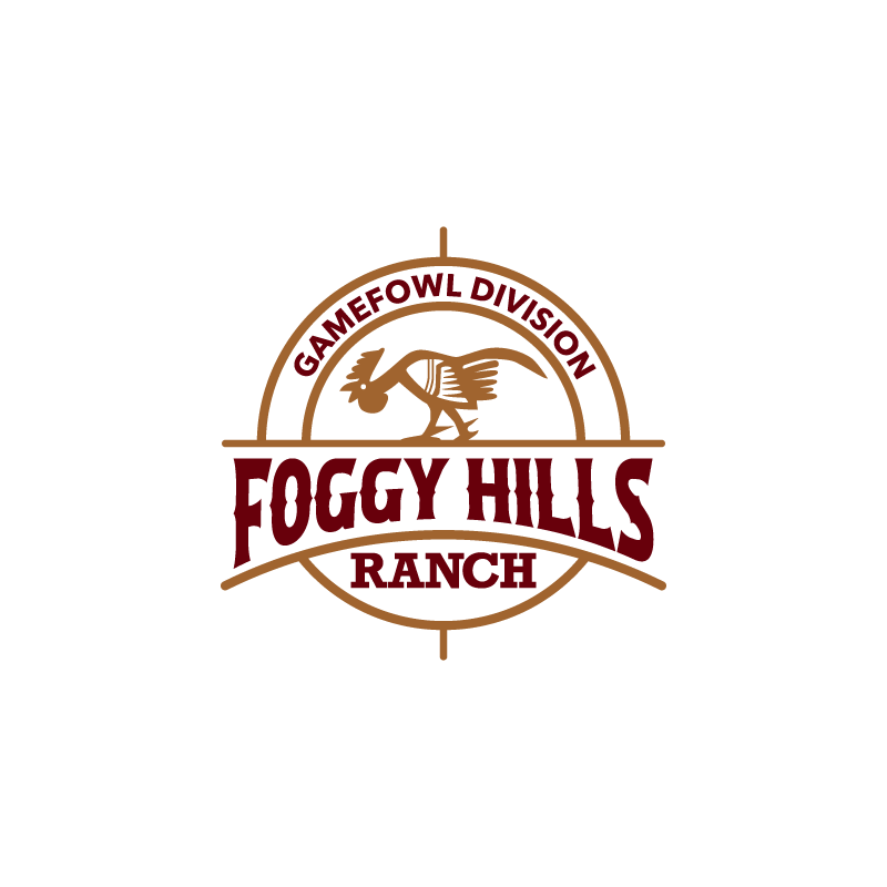 FOGGY-HILLS-RANCH.png