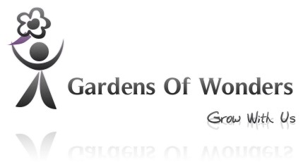 garden black.jpg