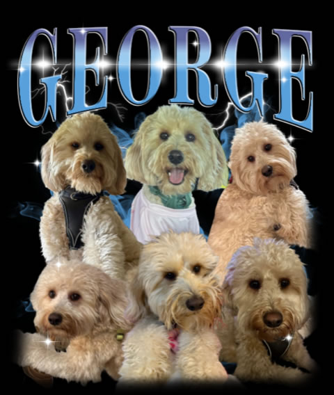 George .jpg