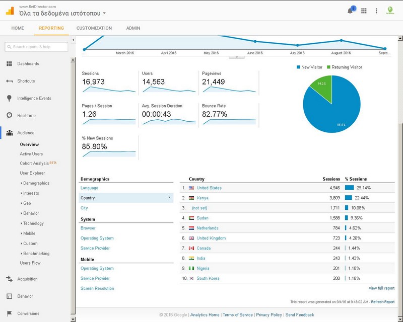 Google Analytics, Audience.jpg