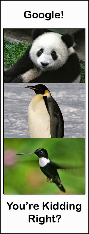 google-hummingbird.jpg