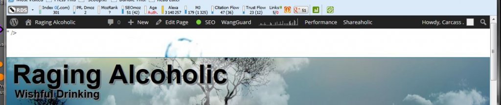 Header Image.JPG