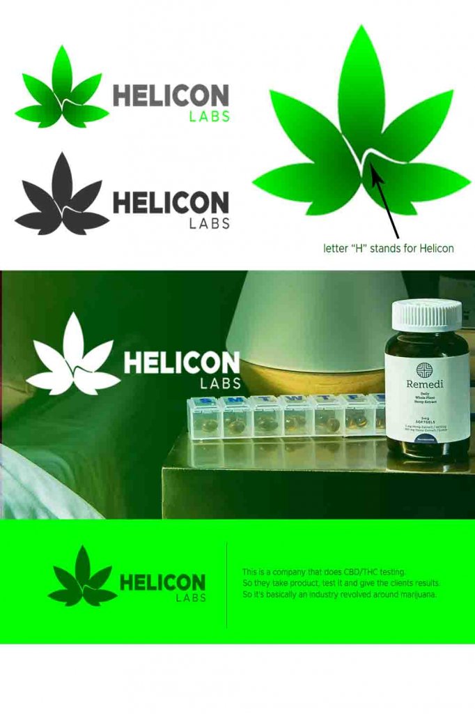 helicon logo.jpg