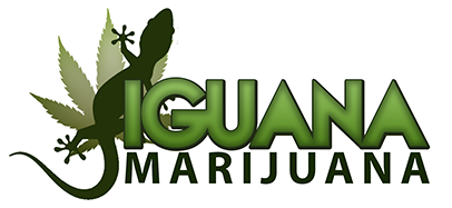 IGUANAMARIJUANA2.png