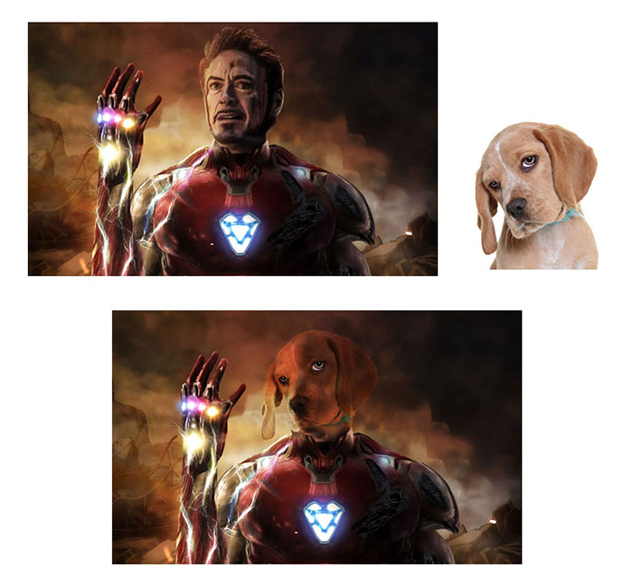 irondog.jpg