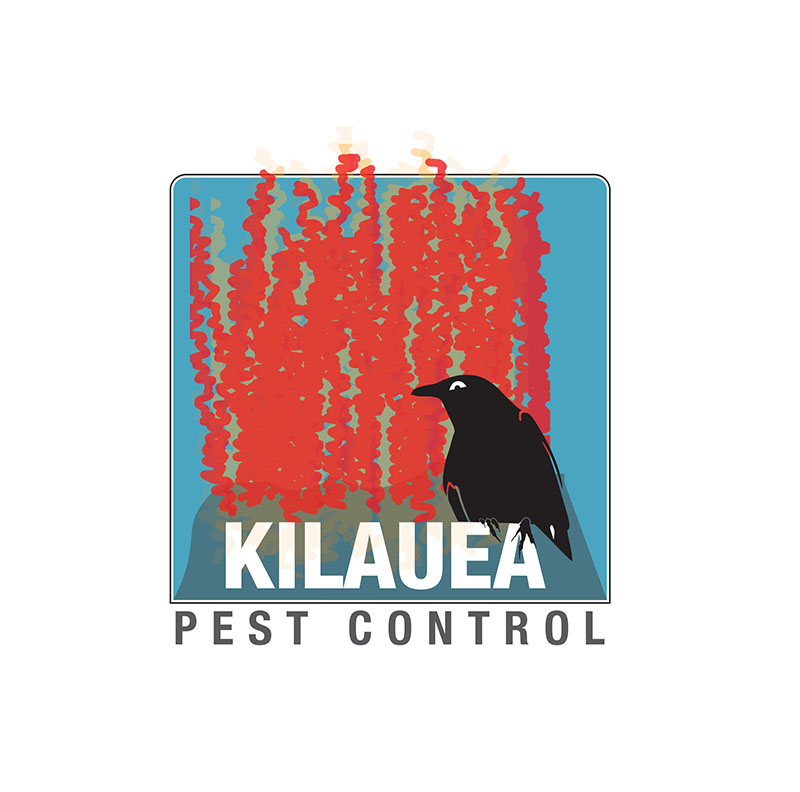 kilauea.jpg