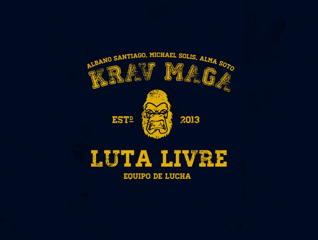 large_logo-krav-maga-final-fb-1390969613.jpg