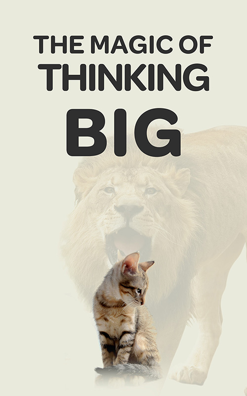 lion.jpg
