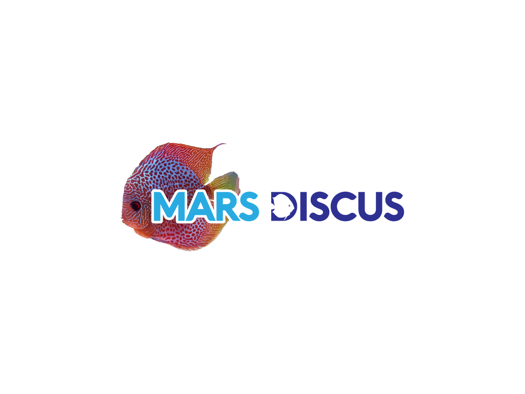 logo.png