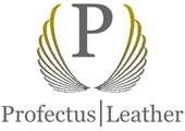 logo19.png