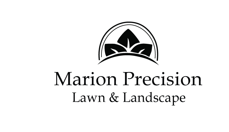 Marion-Precision-dp.jpg