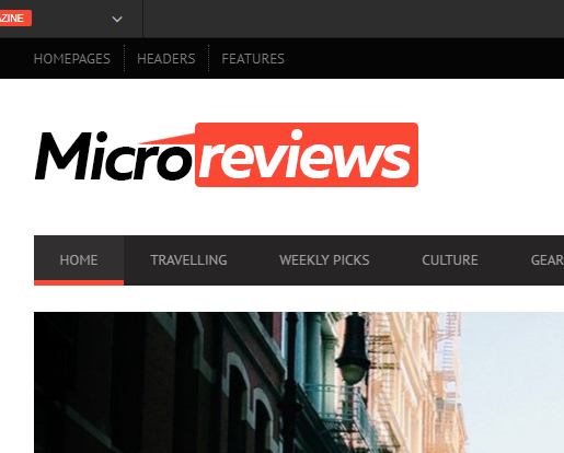 microreview1.jpg