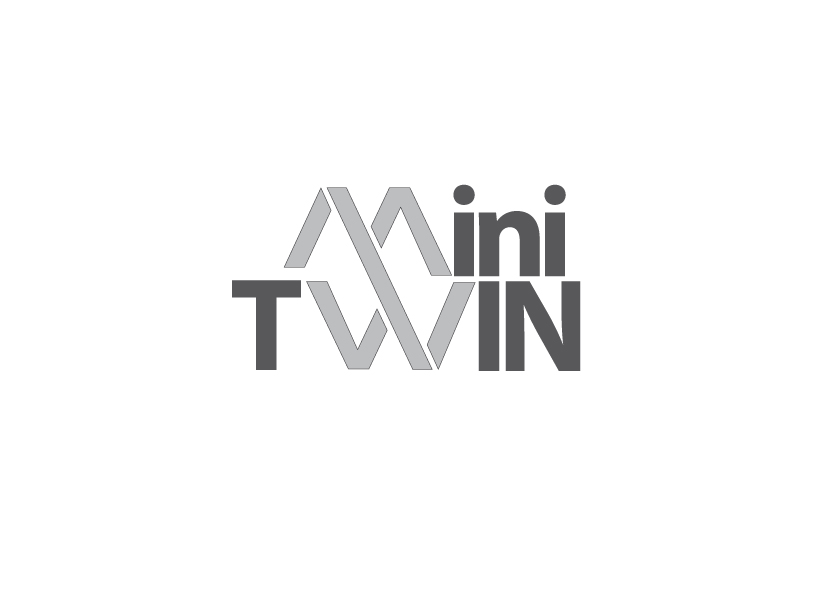 mini-twin.jpg
