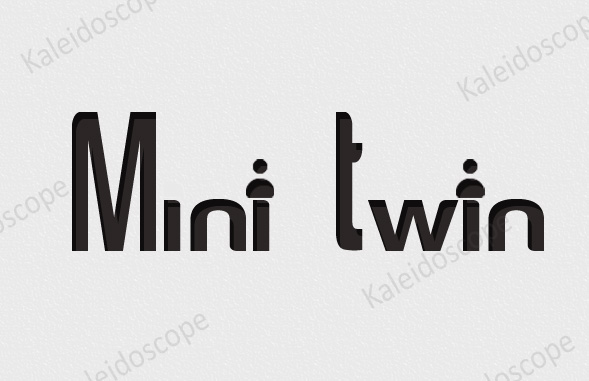 Mini-Twin Sample.jpg