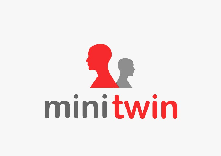 Mini twin2.jpg