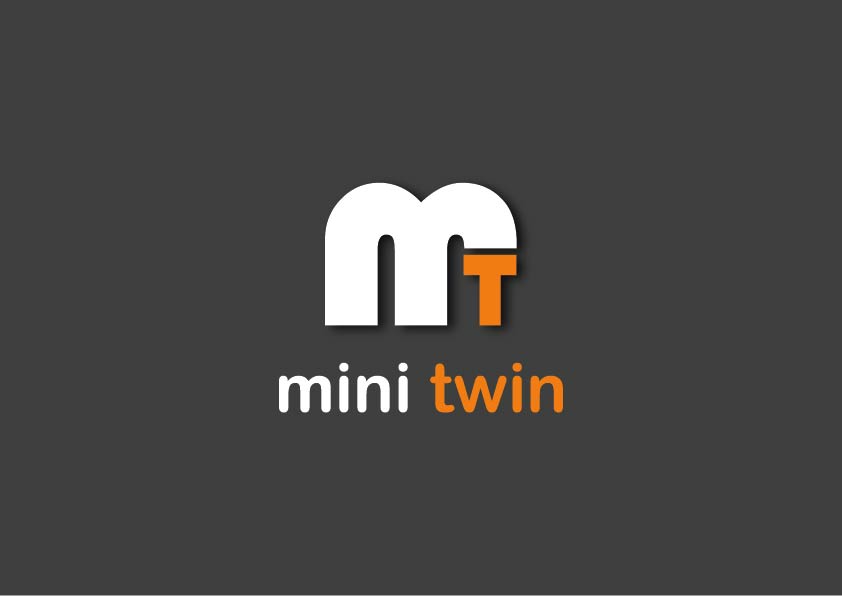 Mini twin2.jpg