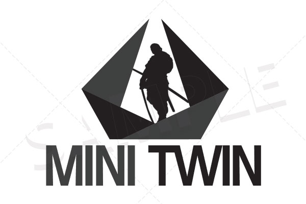 mini_twin.jpg