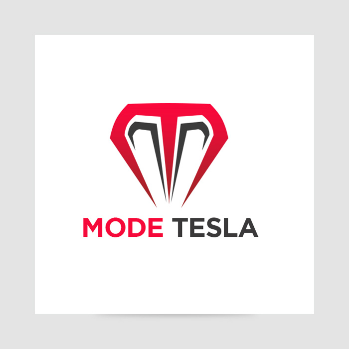 modetesla1.jpg