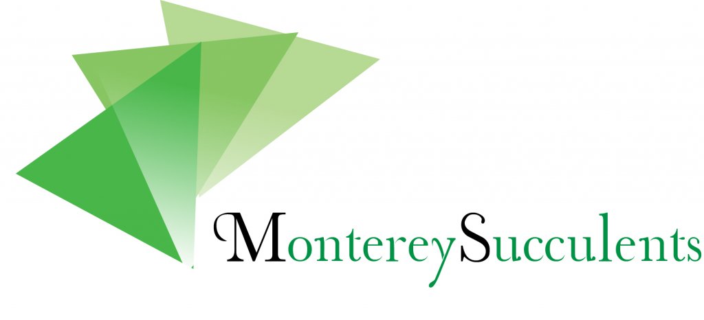 montereysucculents 2nd.jpg
