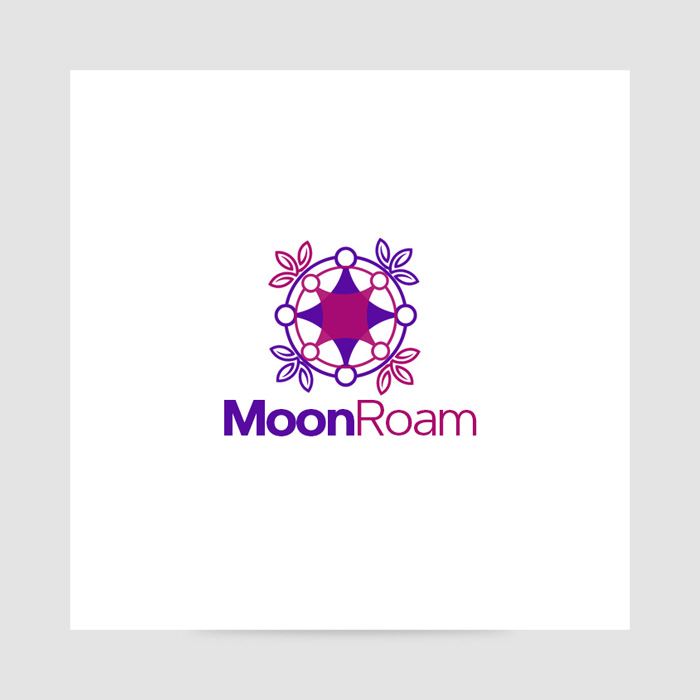 moonroam1.jpg