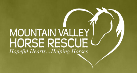 MountainValleyHorseRescue.png