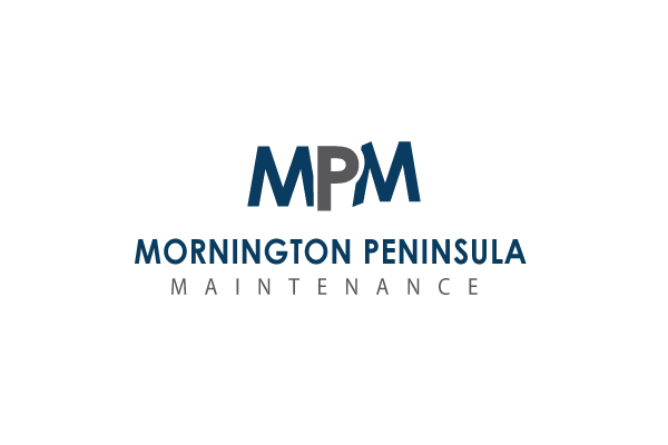MPM-DP1.jpg