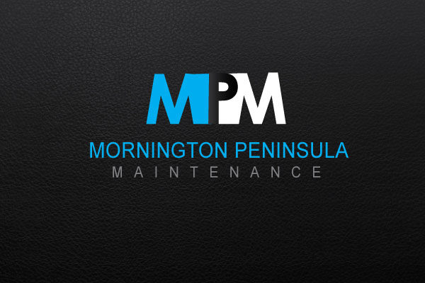 MPM-DP3.jpg