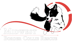 mwbcr-logo-trans1.png