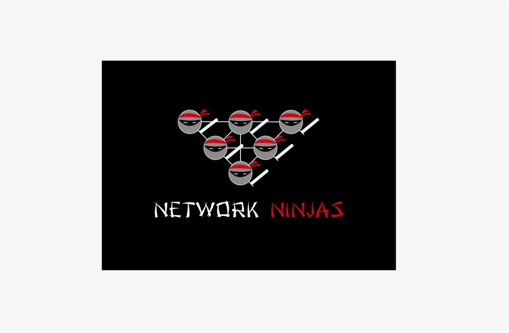 NETWORK NINJAS draft.jpg