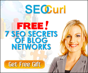 networking_300x250.gif