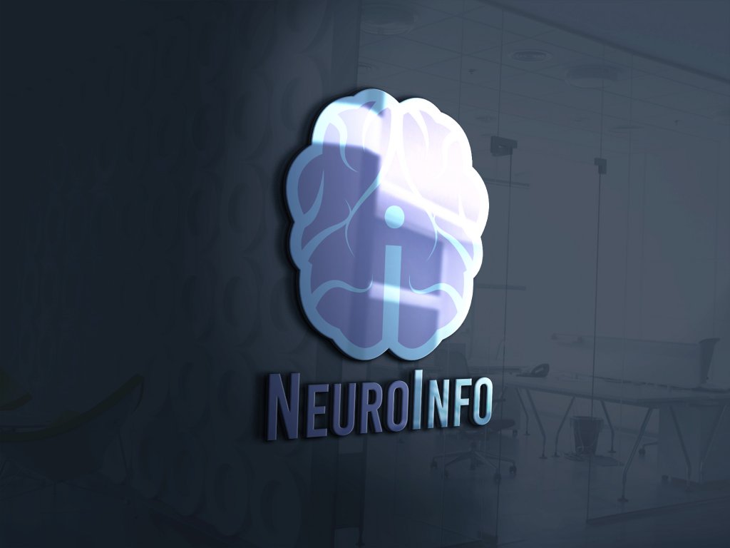 Neuroinfo3dmock.jpg