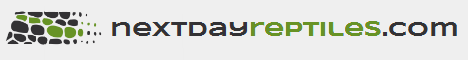 nextdayreptiles 1.PNG