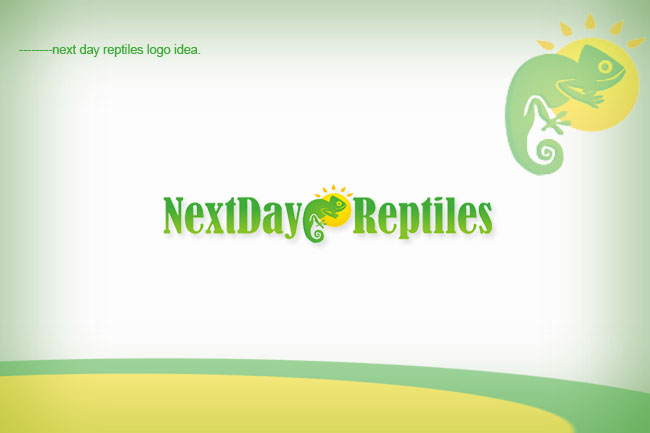 nextdayreptiles.jpg