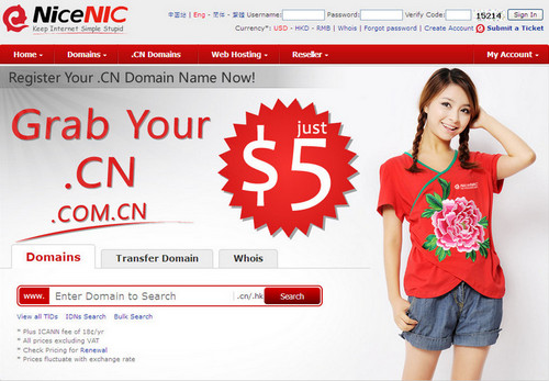 nicenic homepage.jpg