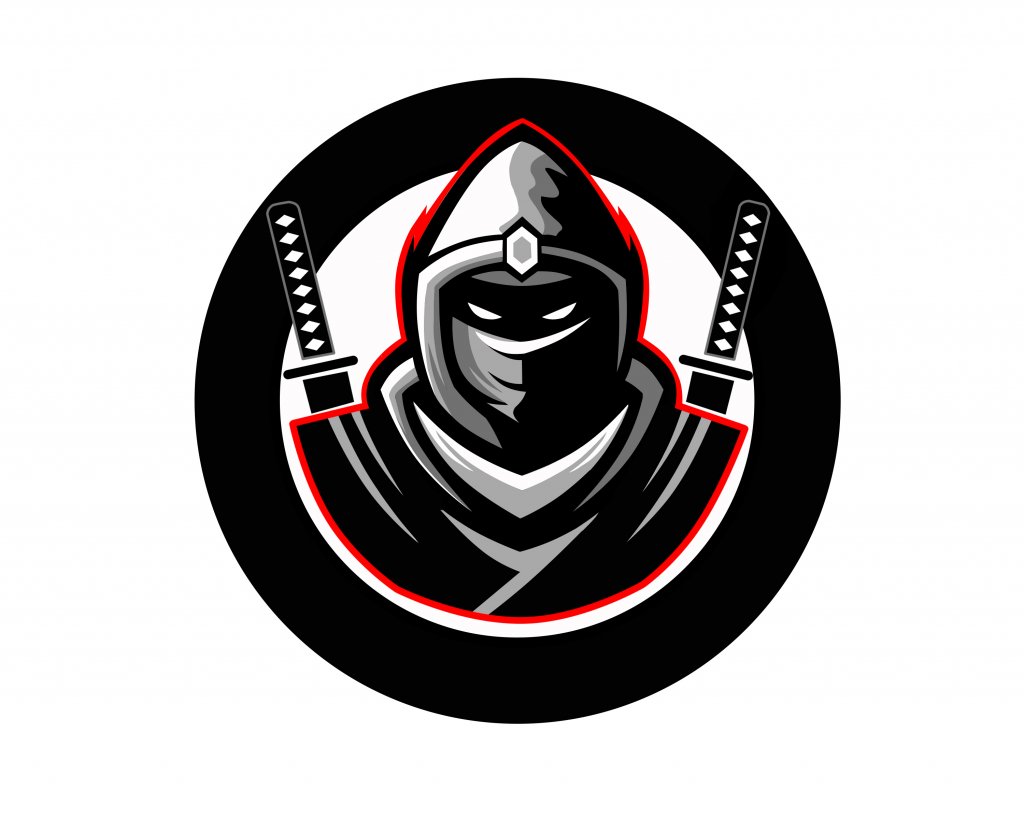 NINJA1.jpg