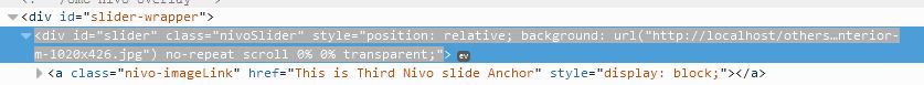 nivoslide_code1.jpg